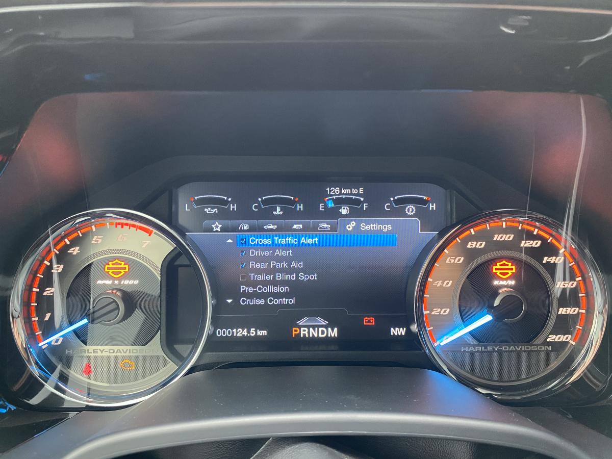 FORD F150 SuperCrew Harley Davidson