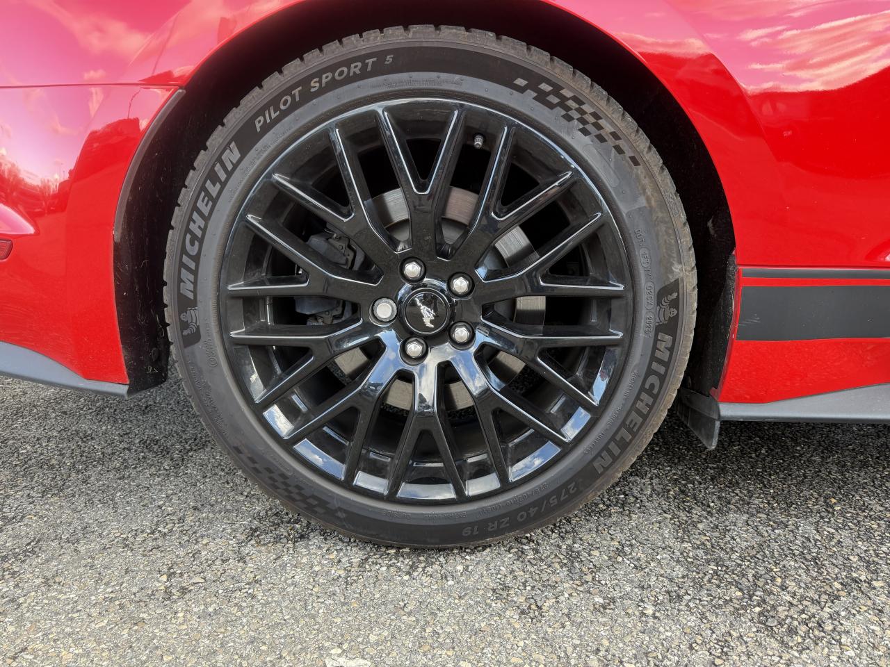 FORD MUSTANG GT FASTBACK 5.0L V8 BVM - Pas de malus